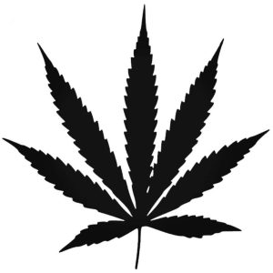 Pot Leaf